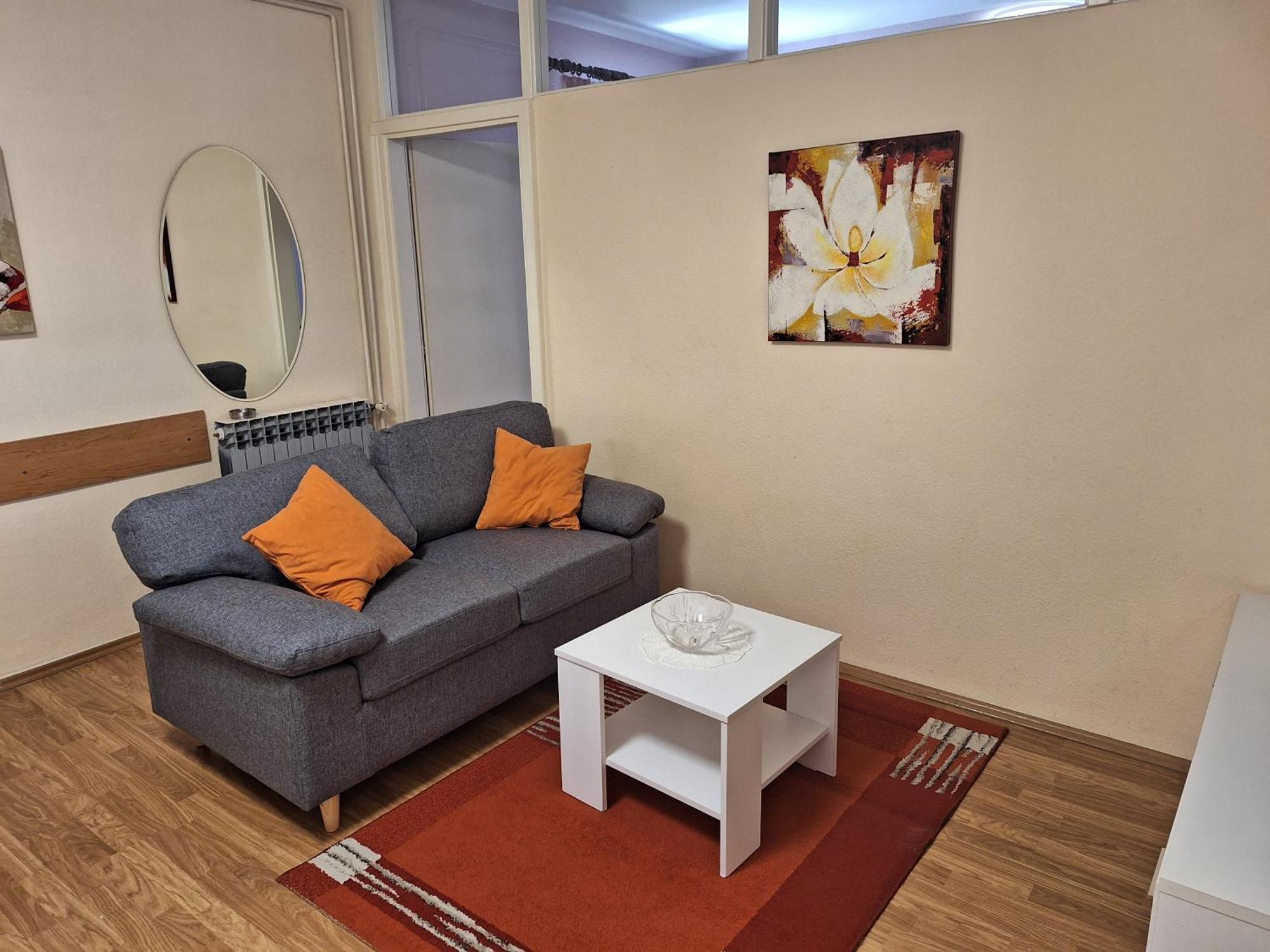 Appartement Gojka Miocevic *